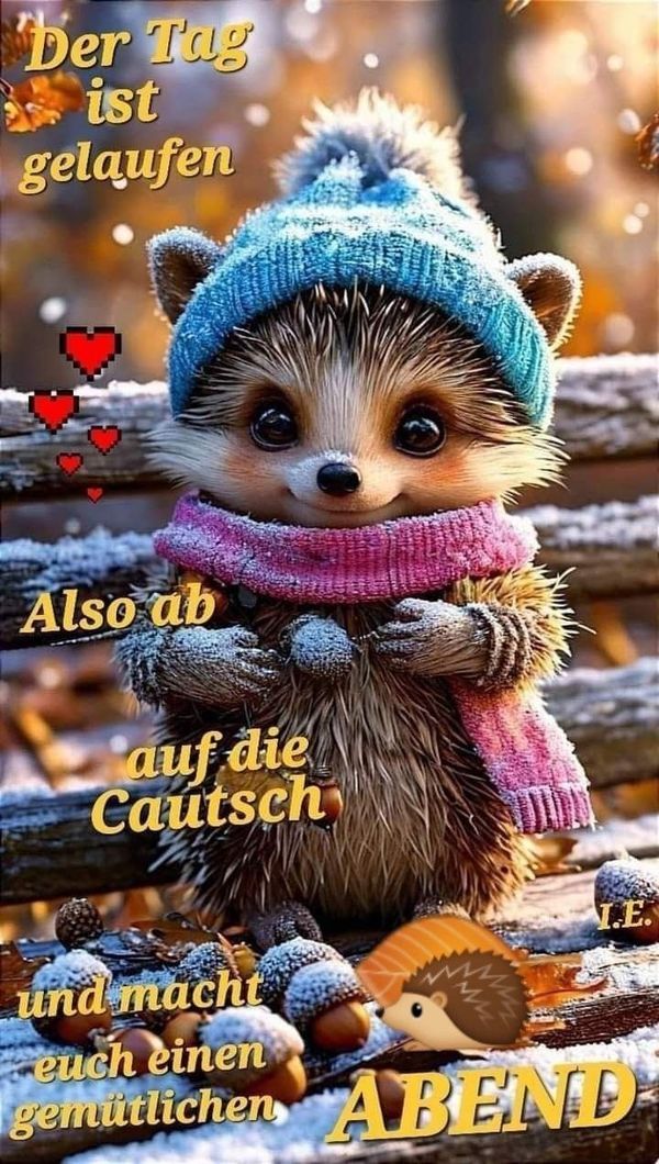 Gute Nacht Bilder Neu 4