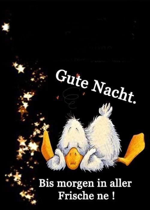 Gute Nacht Bilder 12