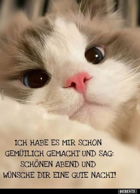 Gute Nacht Bilder 125