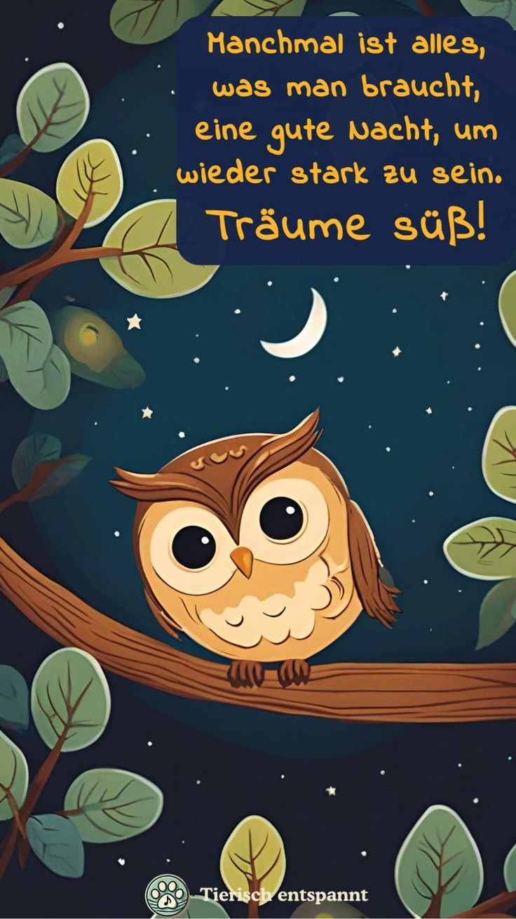 Gute Nacht Bilder 127