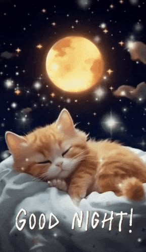 Gute Nacht Bilder 26