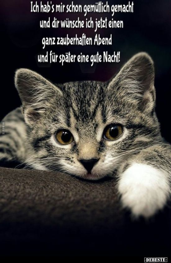 Gute Nacht Bilder 32