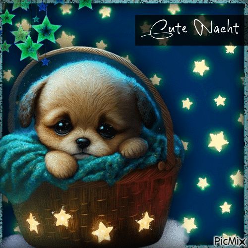 Gute Nacht Bilder 42