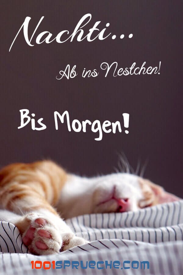 Gute Nacht Bilder 46