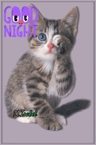Gute Nacht Bilder 81
