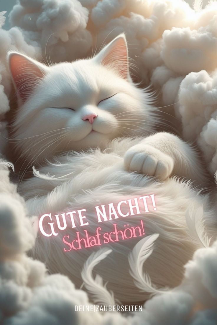 Gute Nacht Bilder 86