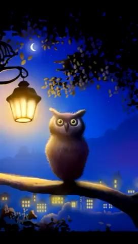 Guten Abend Bilder 147