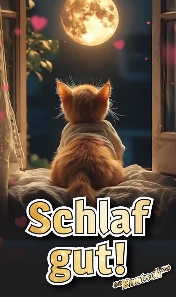 Guten Abend Bilder 63