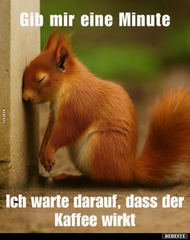 Guten Abend Bilder 97
