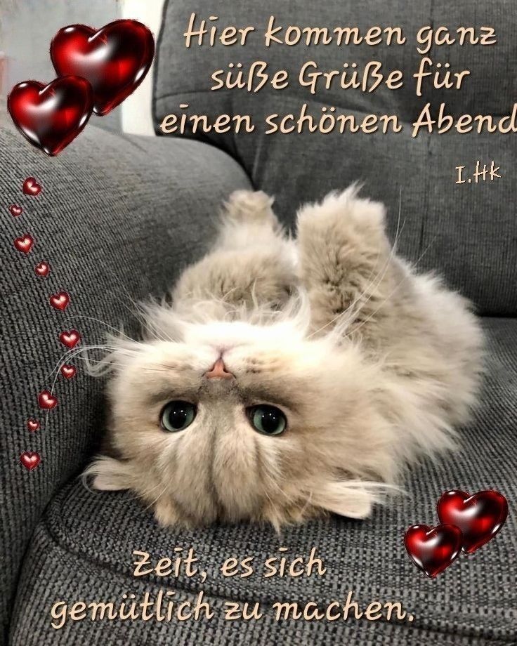 Guten Abend Gute Nacht Bilder 109
