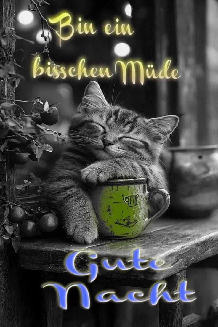 Guten Abend Gute Nacht Bilder 118