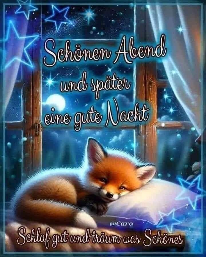 Guten Abend Gute Nacht Bilder 138