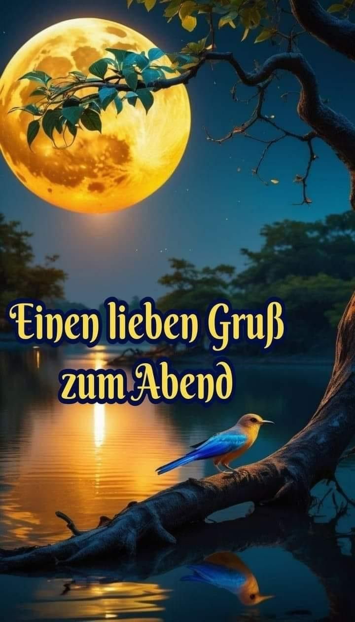 Guten Abend Gute Nacht Bilder 143