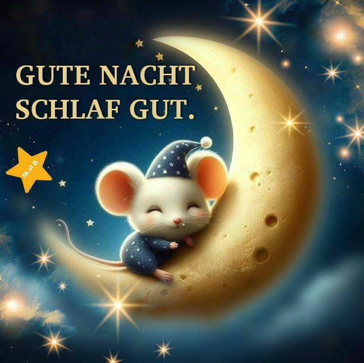 Guten Abend Gute Nacht Bilder 145