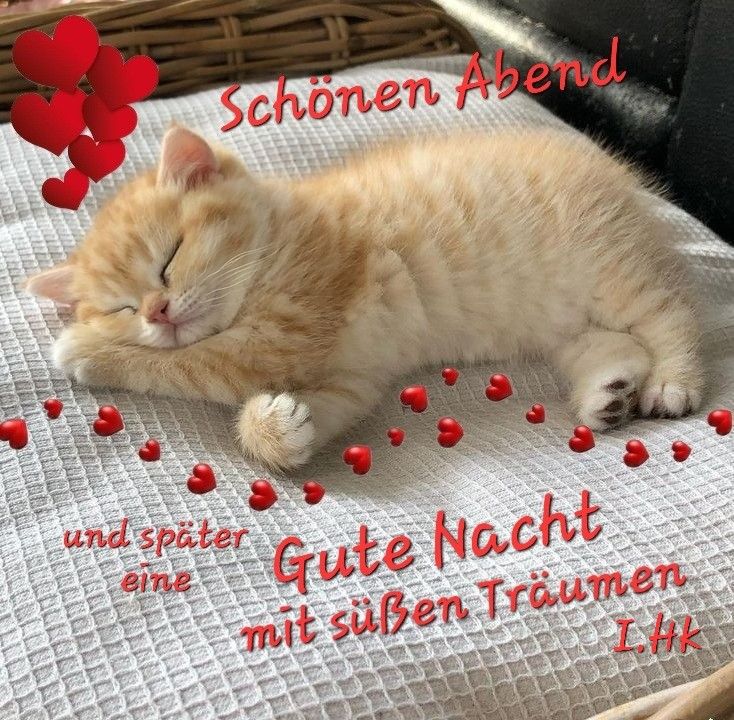 Guten Abend Gute Nacht Bilder 22
