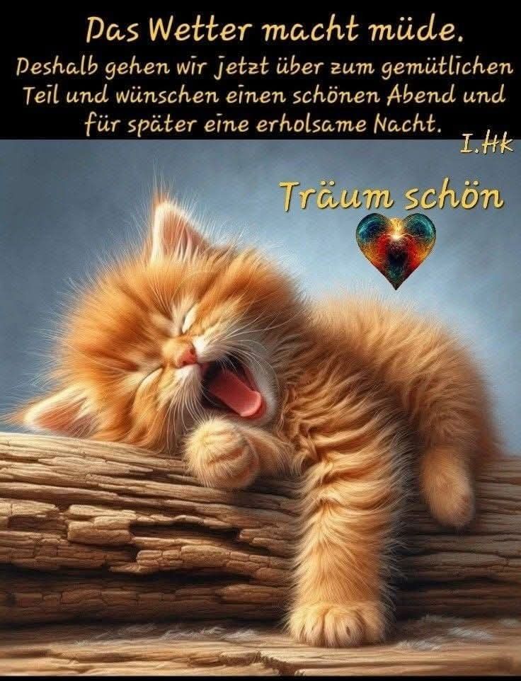 Guten Abend Gute Nacht Bilder 32