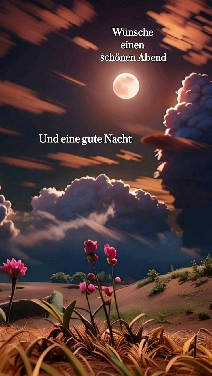 Guten Abend Gute Nacht Bilder 71