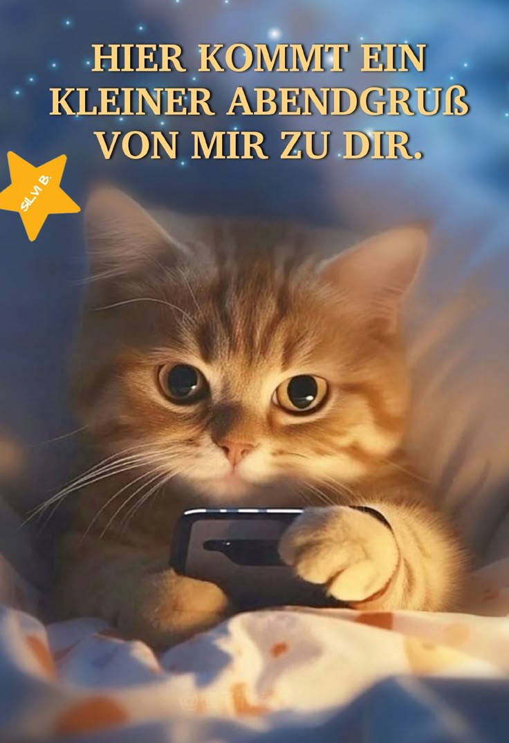 Guten Abend Gute Nacht Bilder 97