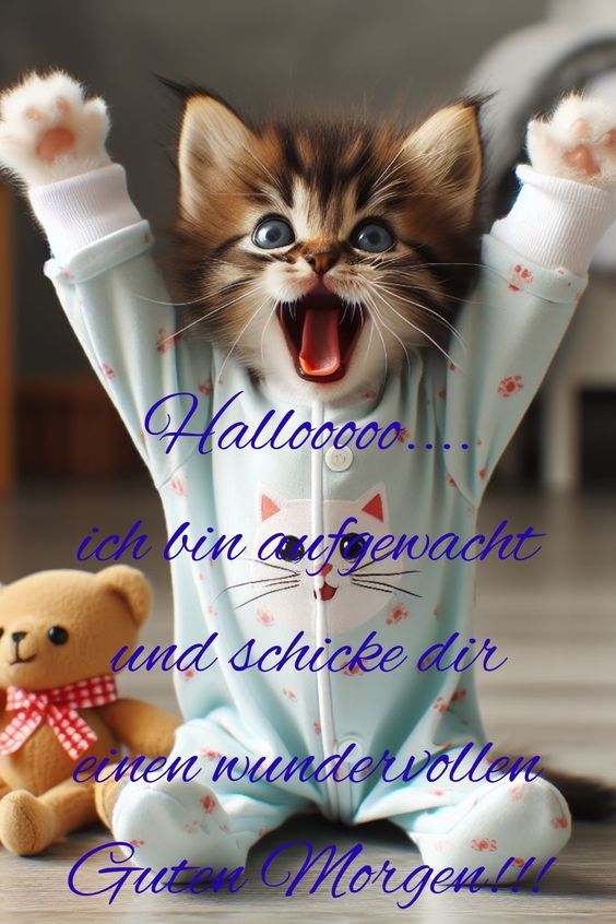 Guten Morgen Bilder Kostenlos Für Whatsapp 105