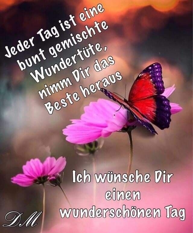 Guten Morgen Bilder Kostenlos Für Whatsapp 108