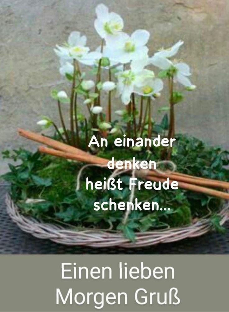 Guten Morgen Bilder Kostenlos Für Whatsapp 112