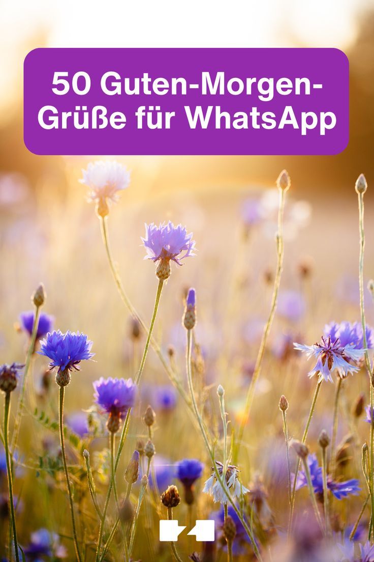 Guten Morgen Bilder Kostenlos Für Whatsapp 114