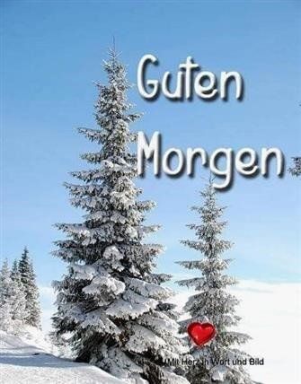 Guten Morgen Bilder Kostenlos Für Whatsapp 12