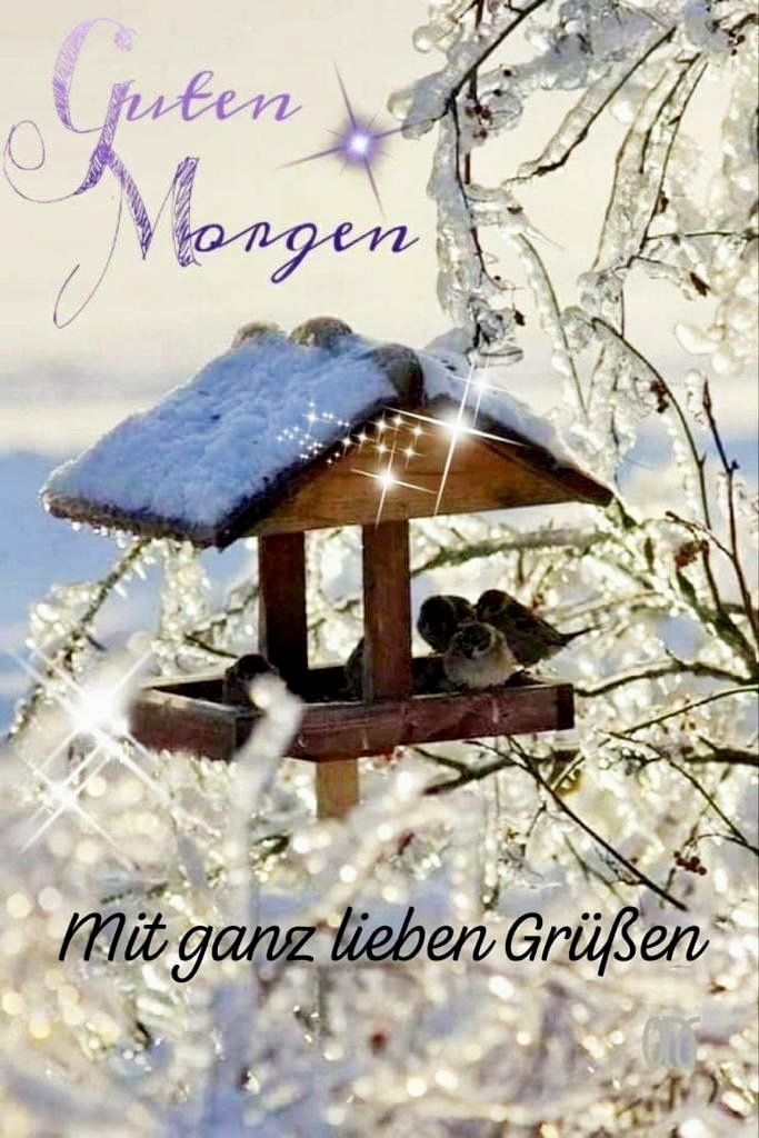 Guten Morgen Bilder Kostenlos Für Whatsapp 127