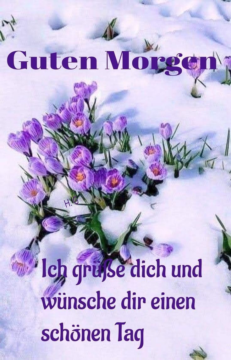 Guten Morgen Bilder Kostenlos Für Whatsapp 133