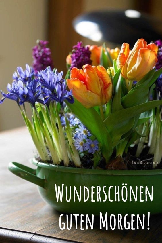 Guten Morgen Bilder Kostenlos Für Whatsapp 143