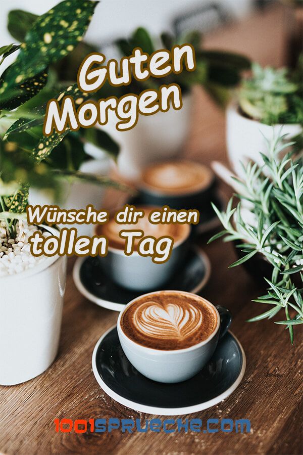Guten Morgen Bilder Kostenlos Für Whatsapp 16