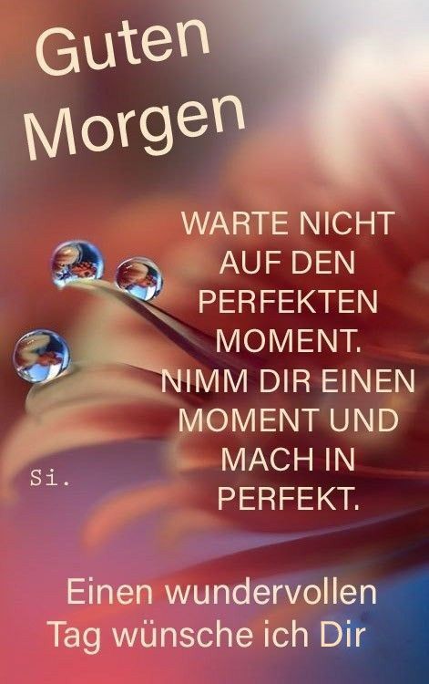 Guten Morgen Bilder Kostenlos Für Whatsapp 21