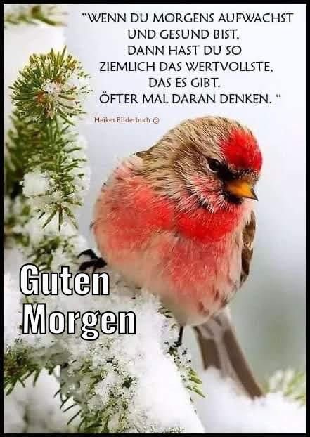 Guten Morgen Bilder Kostenlos Für Whatsapp 33
