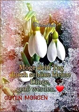 Guten Morgen Bilder Kostenlos Für Whatsapp 41
