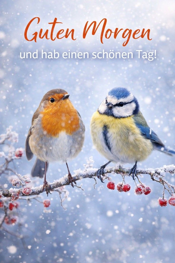 Guten Morgen Bilder Kostenlos Für Whatsapp 45