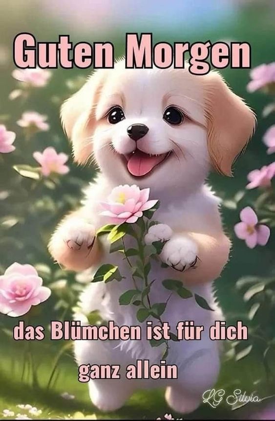 Guten Morgen Bilder Kostenlos Für Whatsapp 59