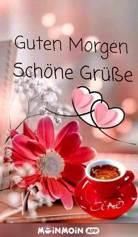 Guten Morgen Bilder Kostenlos Für Whatsapp 61