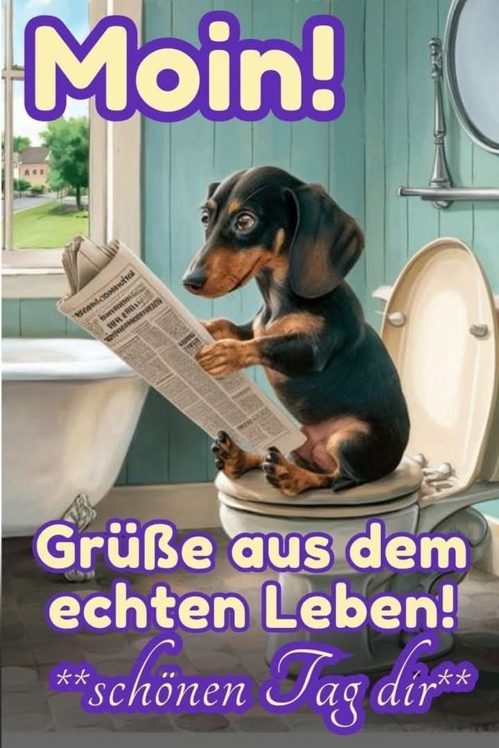 Guten Morgen Bilder Kostenlos Für Whatsapp 76