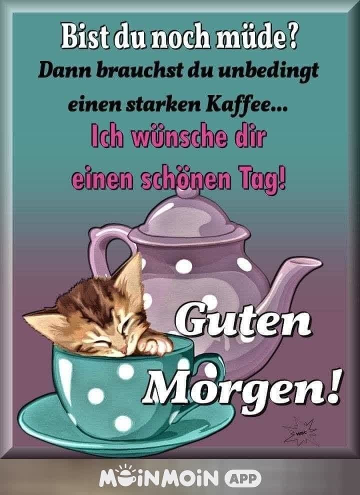 Guten Morgen Bilder Kostenlos Für Whatsapp 81