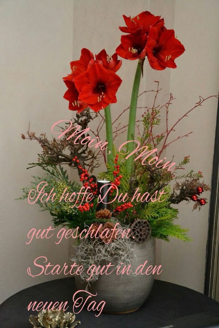 Guten Morgen Bilder Kostenlos Für Whatsapp 82
