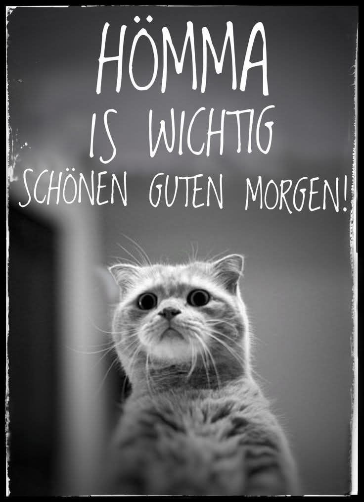 Guten Morgen Bilder Lustig 101