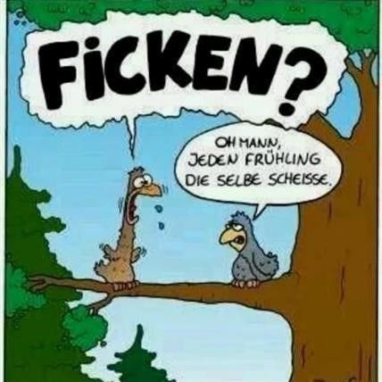 Guten Morgen Bilder Lustig 118