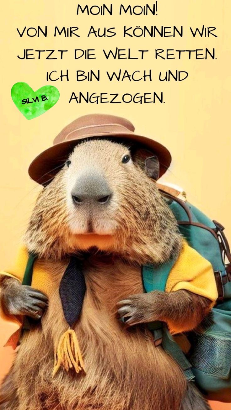 Guten Morgen Bilder Lustig 27