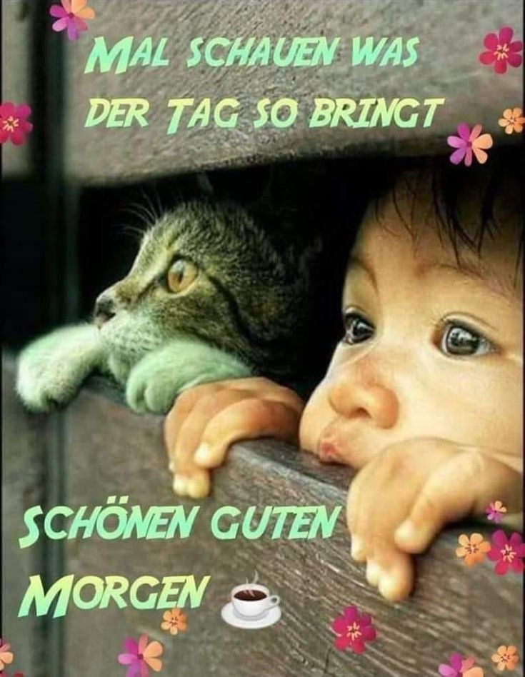 Guten Morgen Bilder Lustig 29