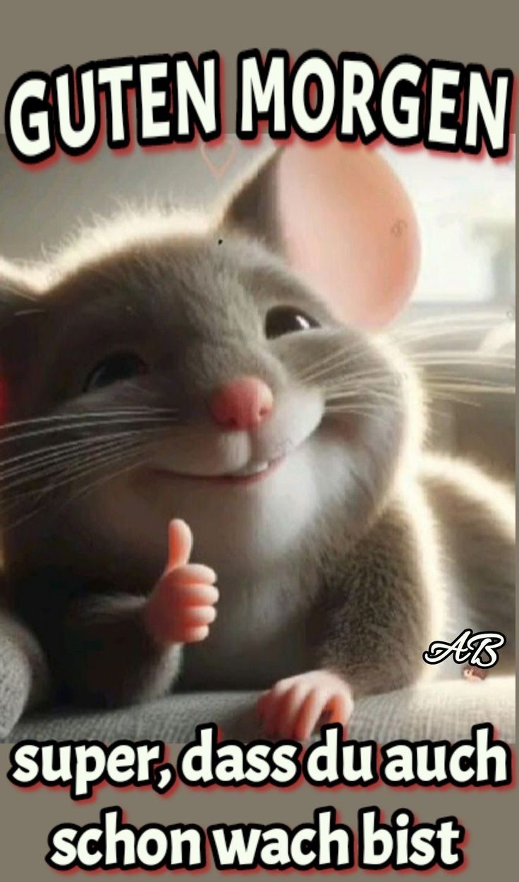Guten Morgen Bilder Lustig 47