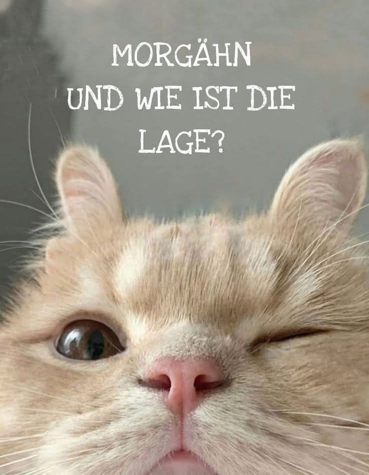 Guten Morgen Bilder Lustig 65