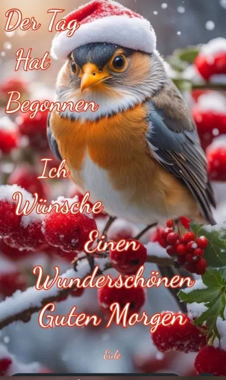 Guten Morgen Bilder Neu 13