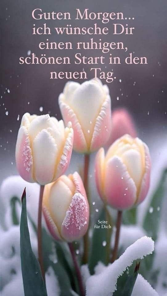 Guten Morgen Bilder Neu 130