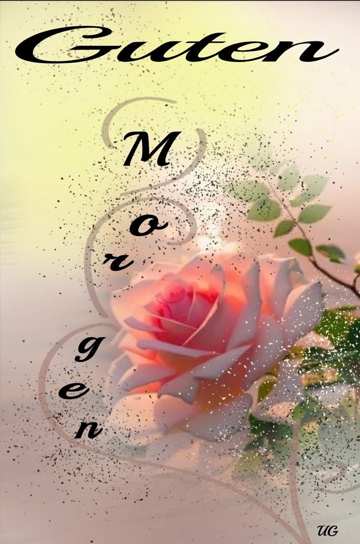 Guten Morgen Bilder Neu 43