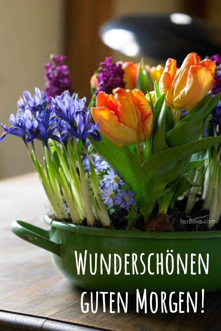 Guten Morgen Bilder Neu 65